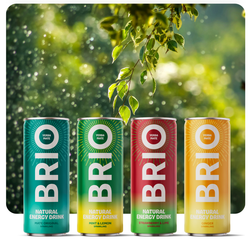 Four cans of Brio energy drink in different flavors, Mate Original, Mint & lemon , Strawberry & lime, Gienger
Displayed on a green background with a tree branch